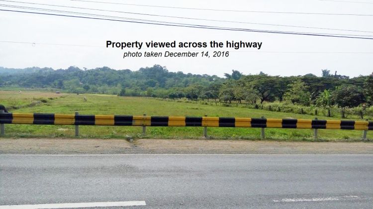 1.2 Hectares Rosario La Union Property