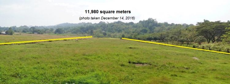 1.2 Hectares Rosario La Union Property