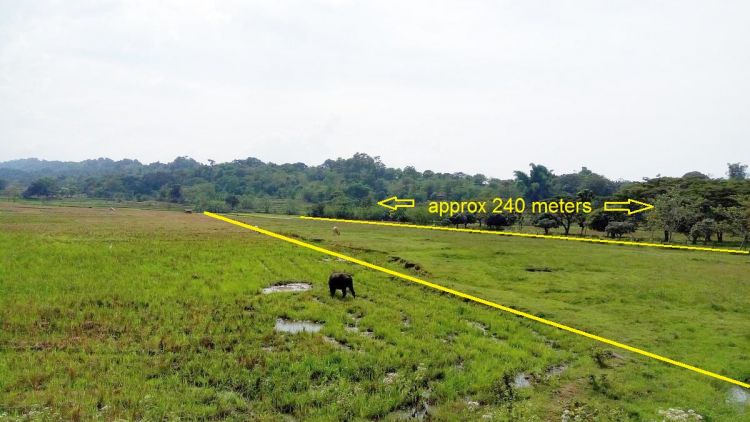 1.2 Hectares Rosario La Union Property