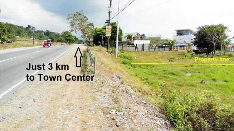 1.2 Hectares Rosario La Union Property