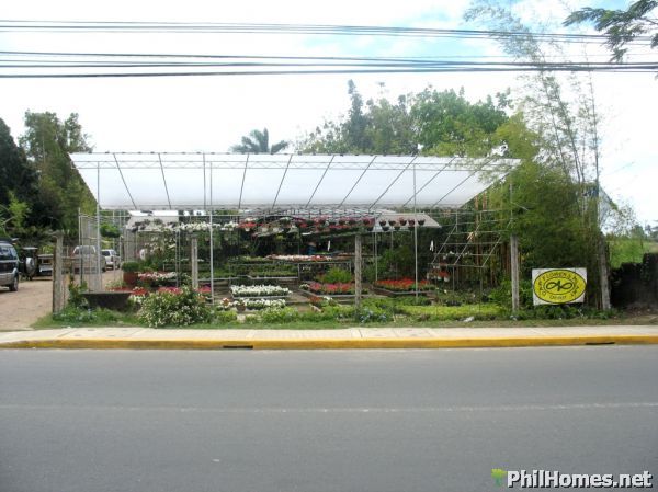 1 HECTARE CALAMBA LOT along the Road! Great for Commercial establisment/Townhouses!