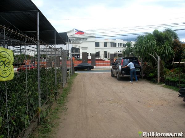 1 HECTARE CALAMBA LOT along the Road! Great for Commercial establisment/Townhouses!