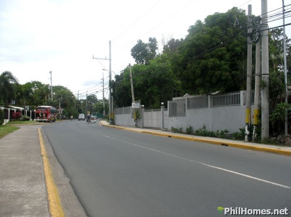 1 HECTARE CALAMBA LOT along the Road! Great for Commercial establisment/Townhouses!
