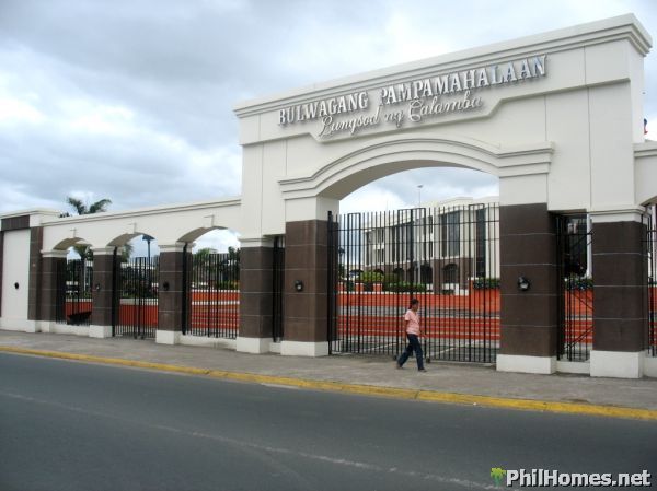 1 HECTARE CALAMBA LOT along the Road! Great for Commercial establisment/Townhouses!