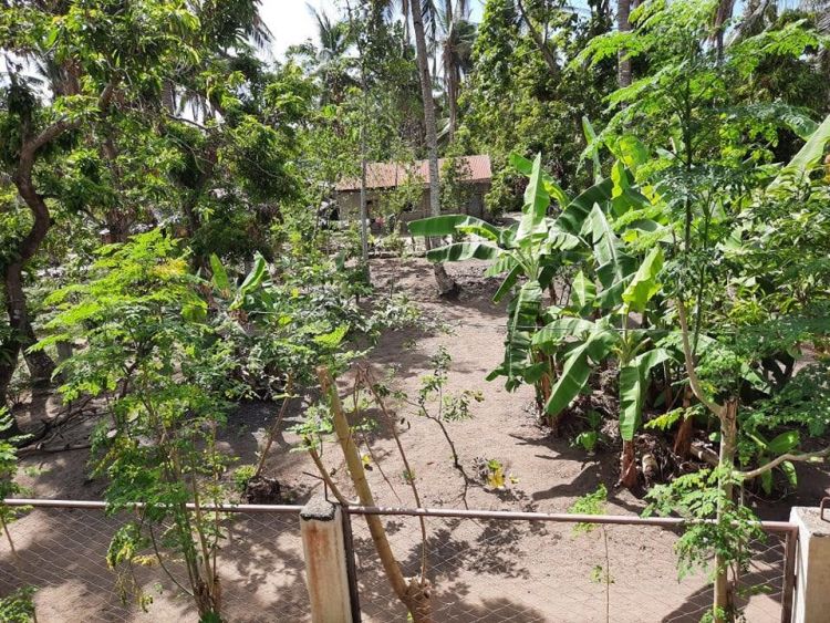 1260 sqm Beach Front for Sale