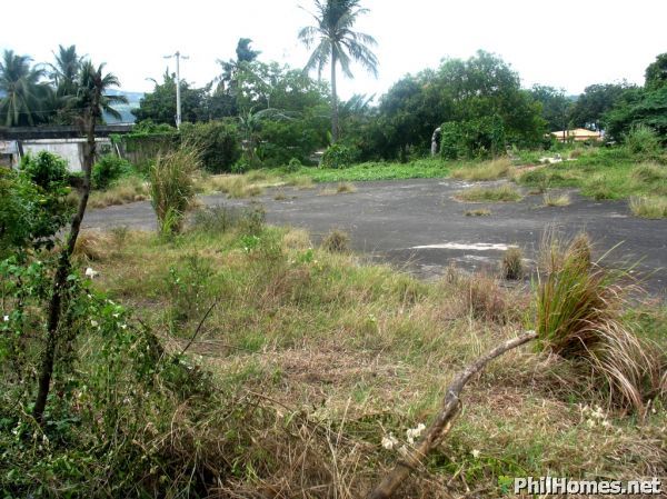1.4 Hectares CALAMBA LOT along the ROAD! Great for car showroom,warehouse! Hot SPOT!
