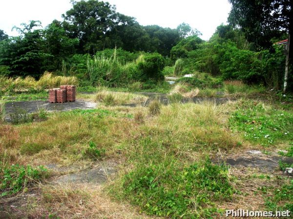 1.4 Hectares CALAMBA LOT along the ROAD! Great for car showroom,warehouse! Hot SPOT!