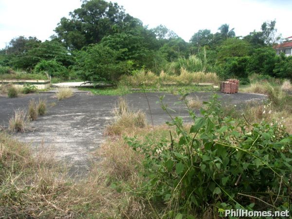 1.4 Hectares CALAMBA LOT along the ROAD! Great for car showroom,warehouse! Hot SPOT!