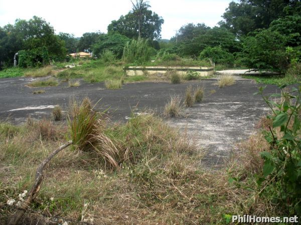 1.4 Hectares CALAMBA LOT along the ROAD! Great for car showroom,warehouse! Hot SPOT!