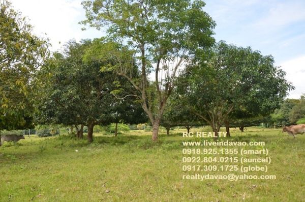 150sqm Limao Raw Lots for only P4,000/month