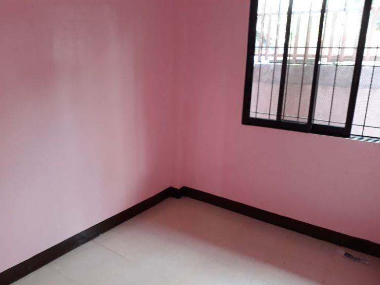 2 Apartments for Rent/Lease