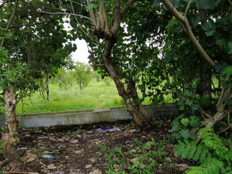 23hectares Agri Lot for sale