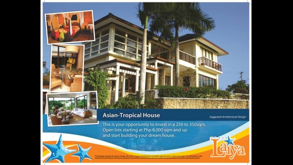 Beachfront, Beach Lot, Beach Property For Sale In Playa Laiya