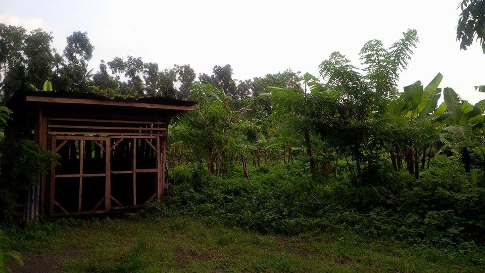 Farm Lot for sale for as low as 1,500 per sqm.