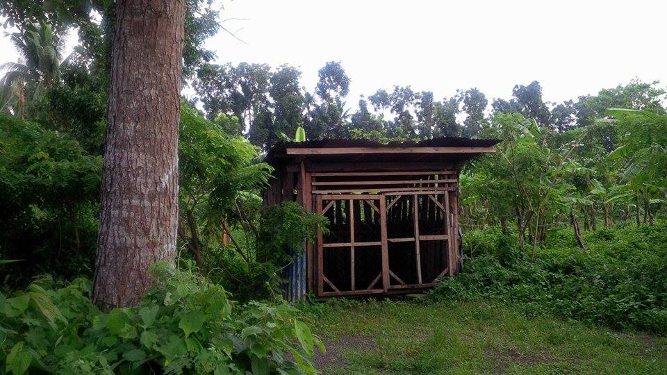 Farm Lot for sale for as low as 1,500 per sqm.