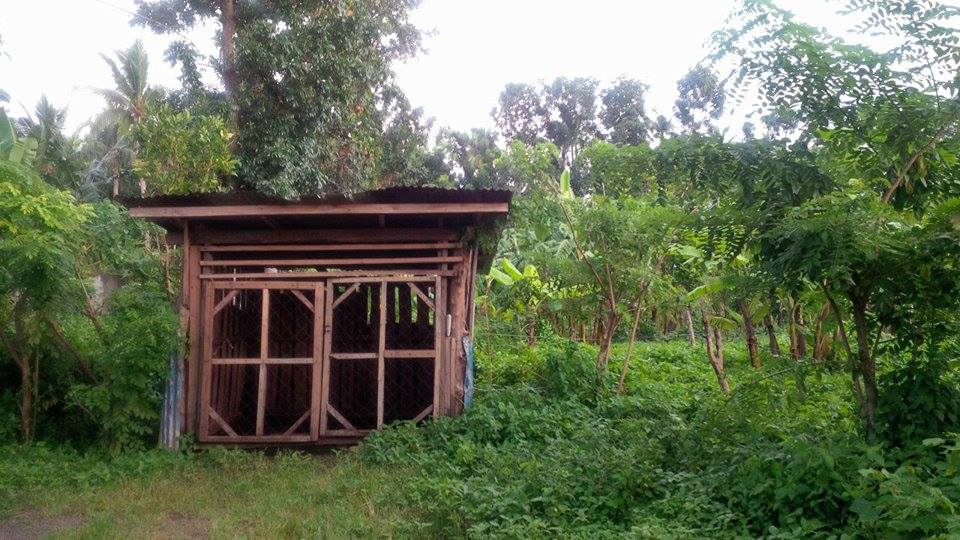 Farm Lot for sale for as low as 1,500 per sqm.