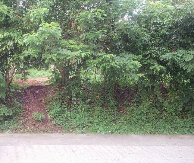 Farm lot for as low as 2500/sqm (Negotiable)