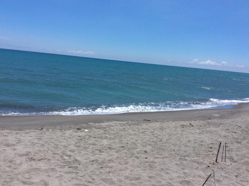 Beachfront Resort for Sale