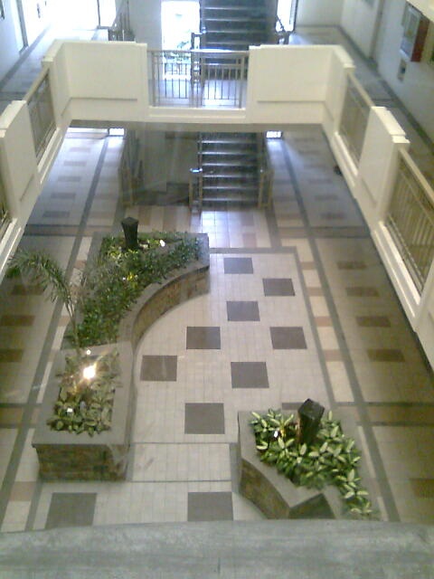 dmci condo unit & parking FOR RENT visayas ave QC stellar place 