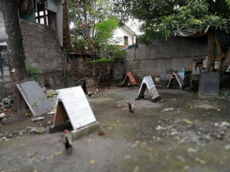 431 sqm Lot for Sale in Las Pinas