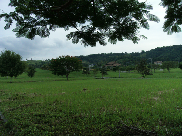 5 Contiguous Lots at Orange Grove Phase 2 Davao City