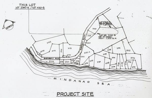 BEACH PROPERTY in Panglao, Bohol FOR SALE OR LEASE