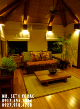 NEW MANILA TOWNHOUSES FOR SALE GREEN ARCHITECTURE AT ITS FINEST