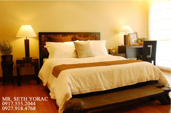 NEW MANILA TOWNHOUSES FOR SALE GREEN ARCHITECTURE AT ITS FINEST