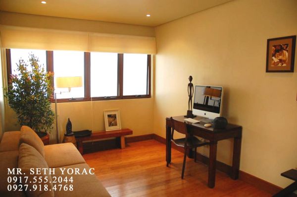 NEW MANILA TOWNHOUSES FOR SALE GREEN ARCHITECTURE AT ITS FINEST