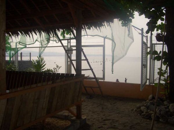 Beach Front Vacation house 600sqm