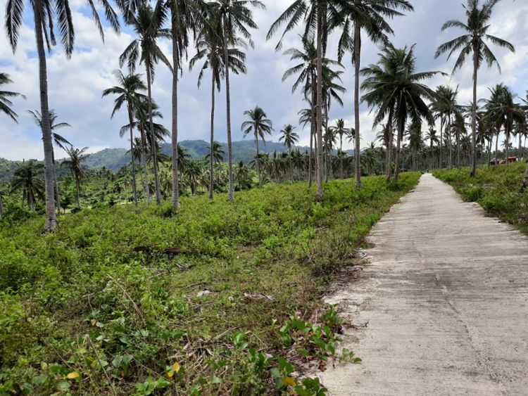 5hectares LOt-BEACH FRONT