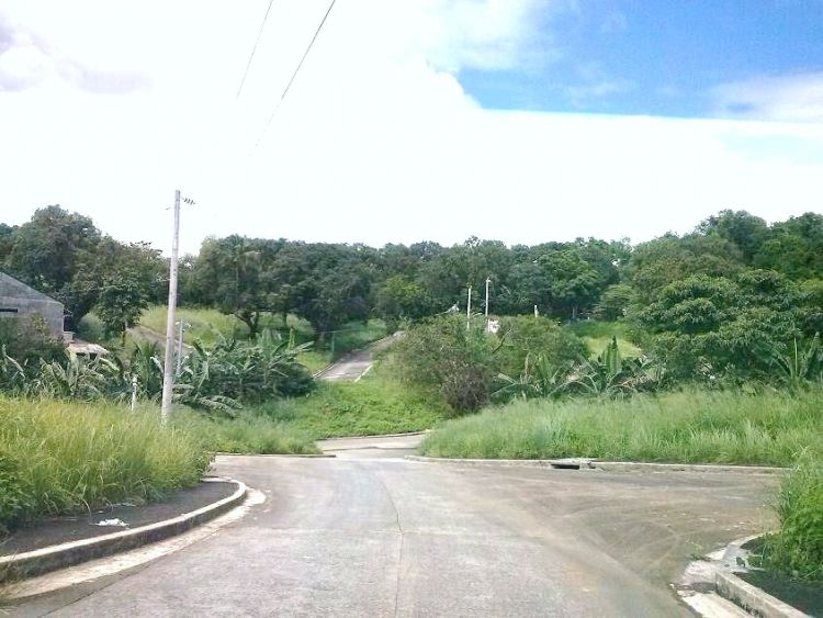 628 sqm Residential Lot at Glenrose East Taytay
