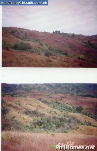 80 hectares farm land - Rush Sale!!!