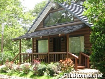 A and P Log Homes - Customized