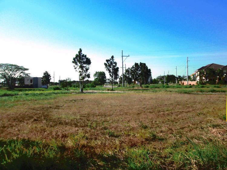 Affordable Lot for Sale RIO DE ORO Estates
