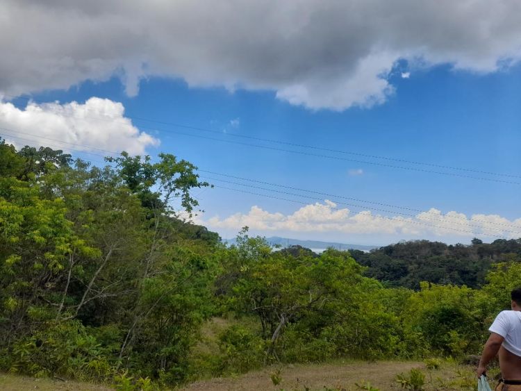 ALTA MONTE PILILIA RIZAL COMMERCIAL, RESIDENTIAL & FARM LOTS