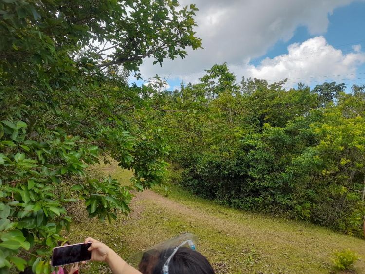 ALTA MONTE PILILIA RIZAL COMMERCIAL, RESIDENTIAL & FARM LOTS