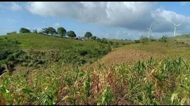 ALTA MONTE PILILIA RIZAL COMMERCIAL, RESIDENTIAL & FARM LOTS