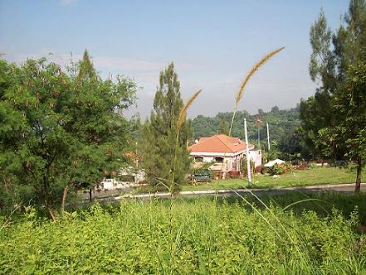 ALTA VISTA DE ANTIPOLO Ortigas Ave. Extension Antipolo City near Ynares Bldg