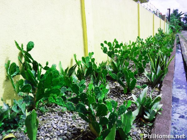 Bacolod House for sale (Perfectly Renovated)