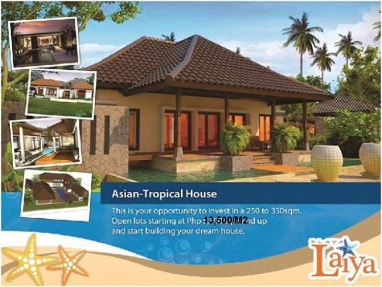 Beach Lot, Beach Property in Playa Laiya, San Juan, Batangas