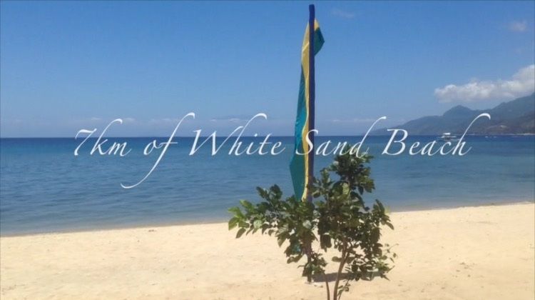 Beach Lot, Beach Property in Playa Laiya, San Juan, Batangas