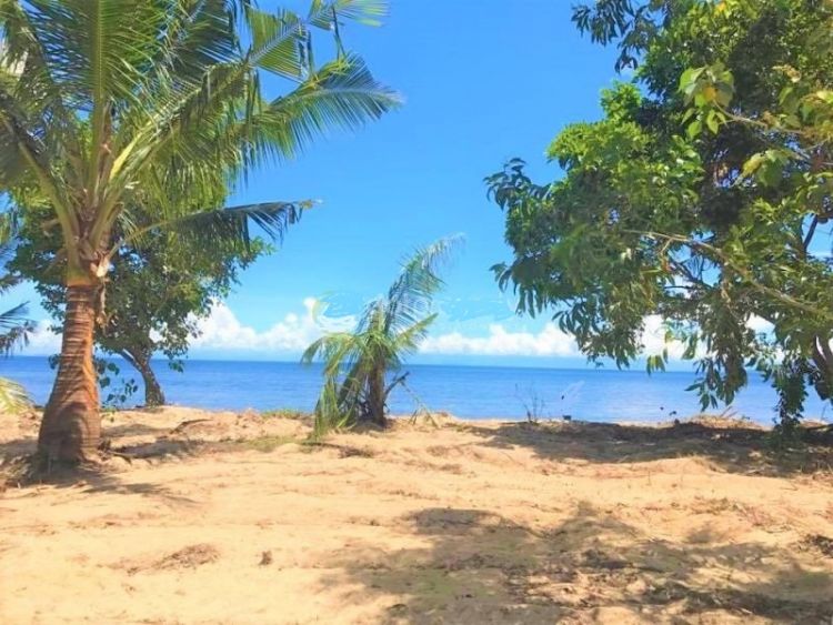 Beachfront Lots for sale At Playa Laiya, San Juan, Batangas