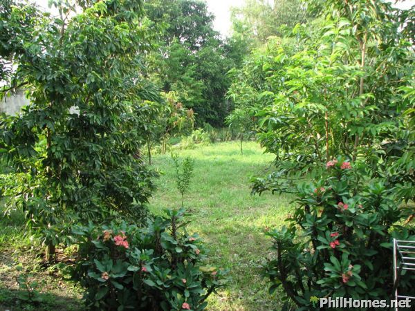 Beautiful 144 Sqm Home,