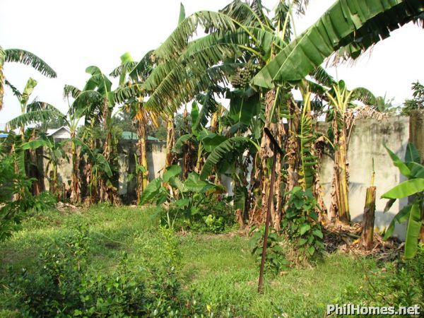 Beautiful 144 Sqm Home,