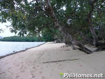 Busuanga Beach Lot