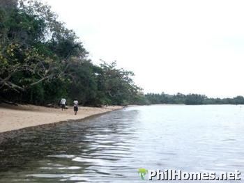 Busuanga Beach Lot
