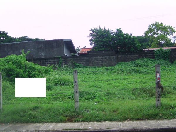 CALAMBA COMMERCIAL LOT 176SQM