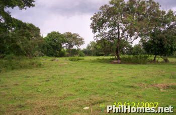 Concepcion - Rosario Lot