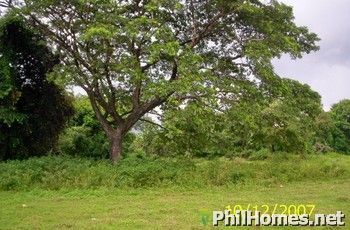 Concepcion - Rosario Lot